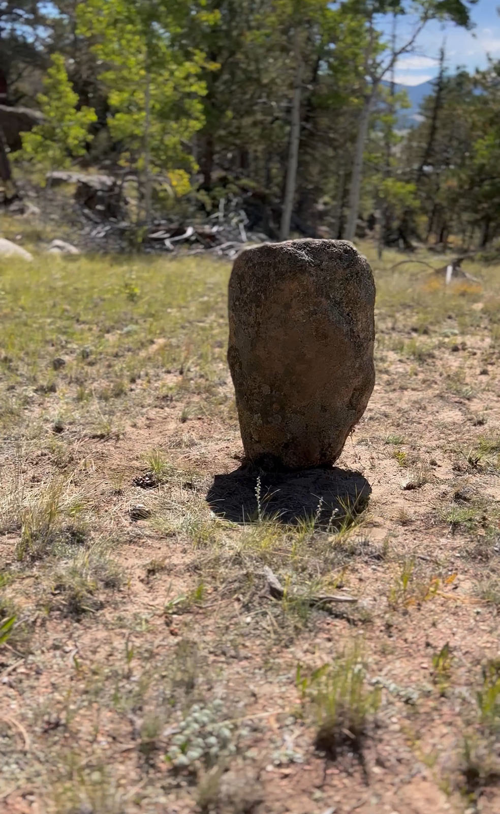 11 Mile shield carry