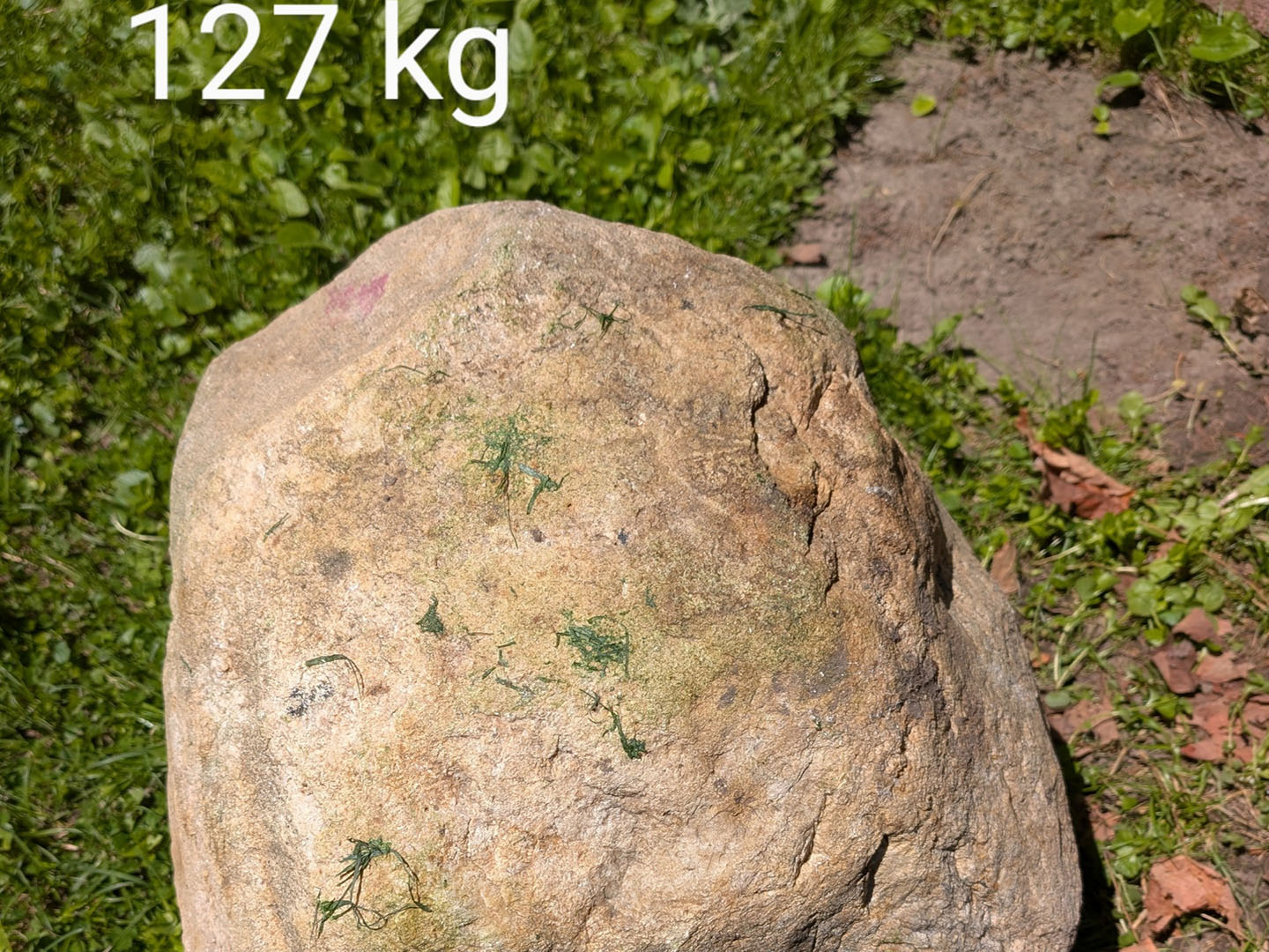 Bergstrand Stone 280