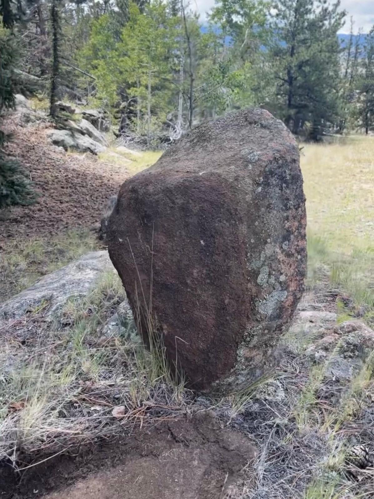 Buffalo Stone