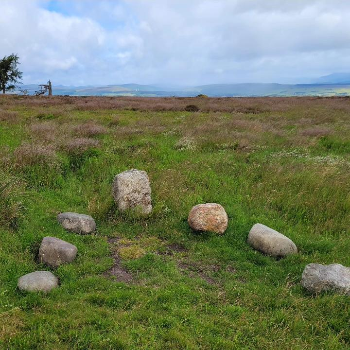 Sheriffmuir Lifting Stones 161