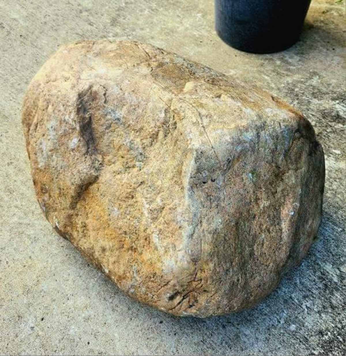 Stein Voller Stärke