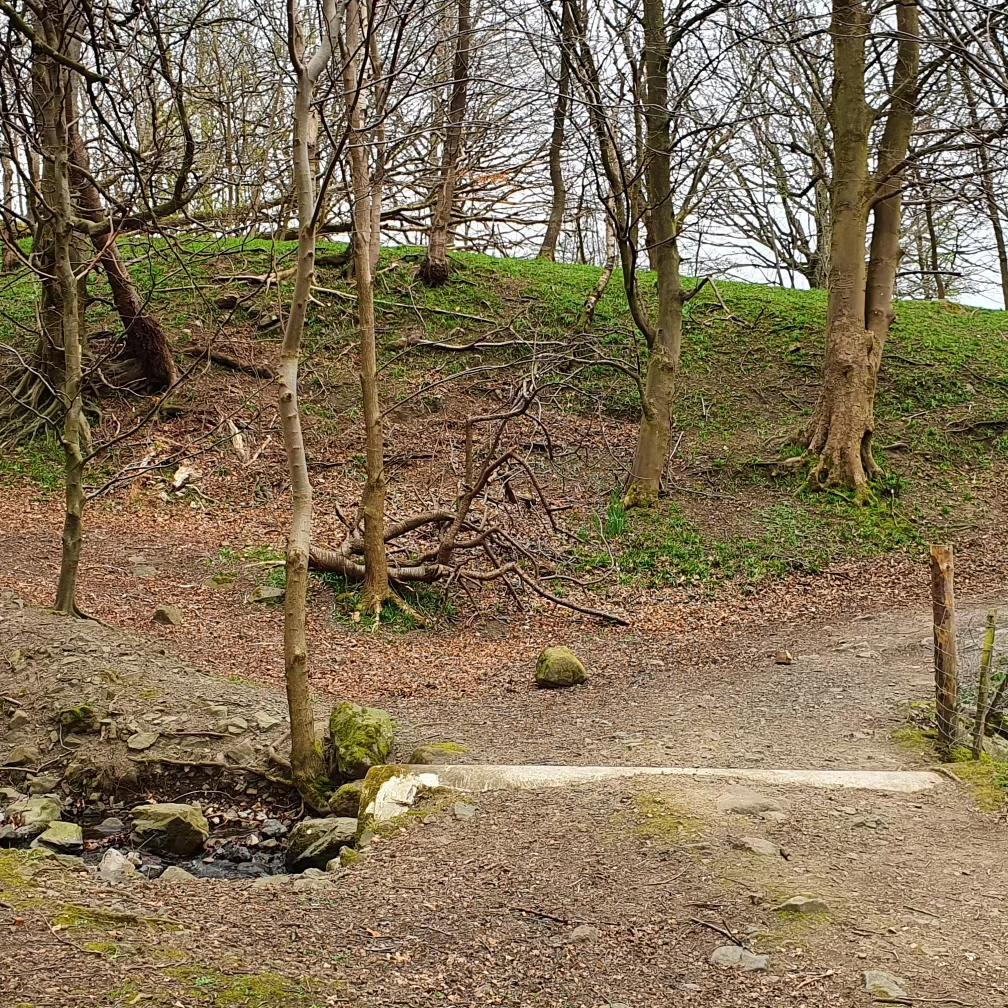 The Harvienston Stone