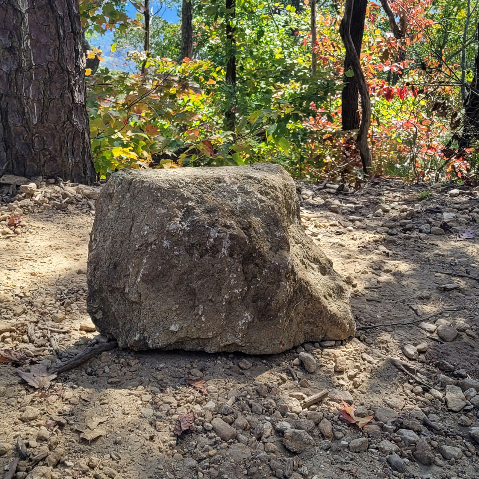 The King of Table Rock