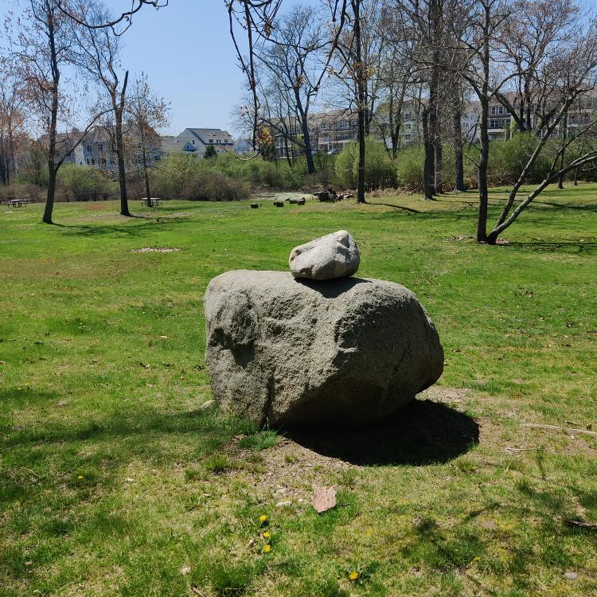 The Shield and the Stone