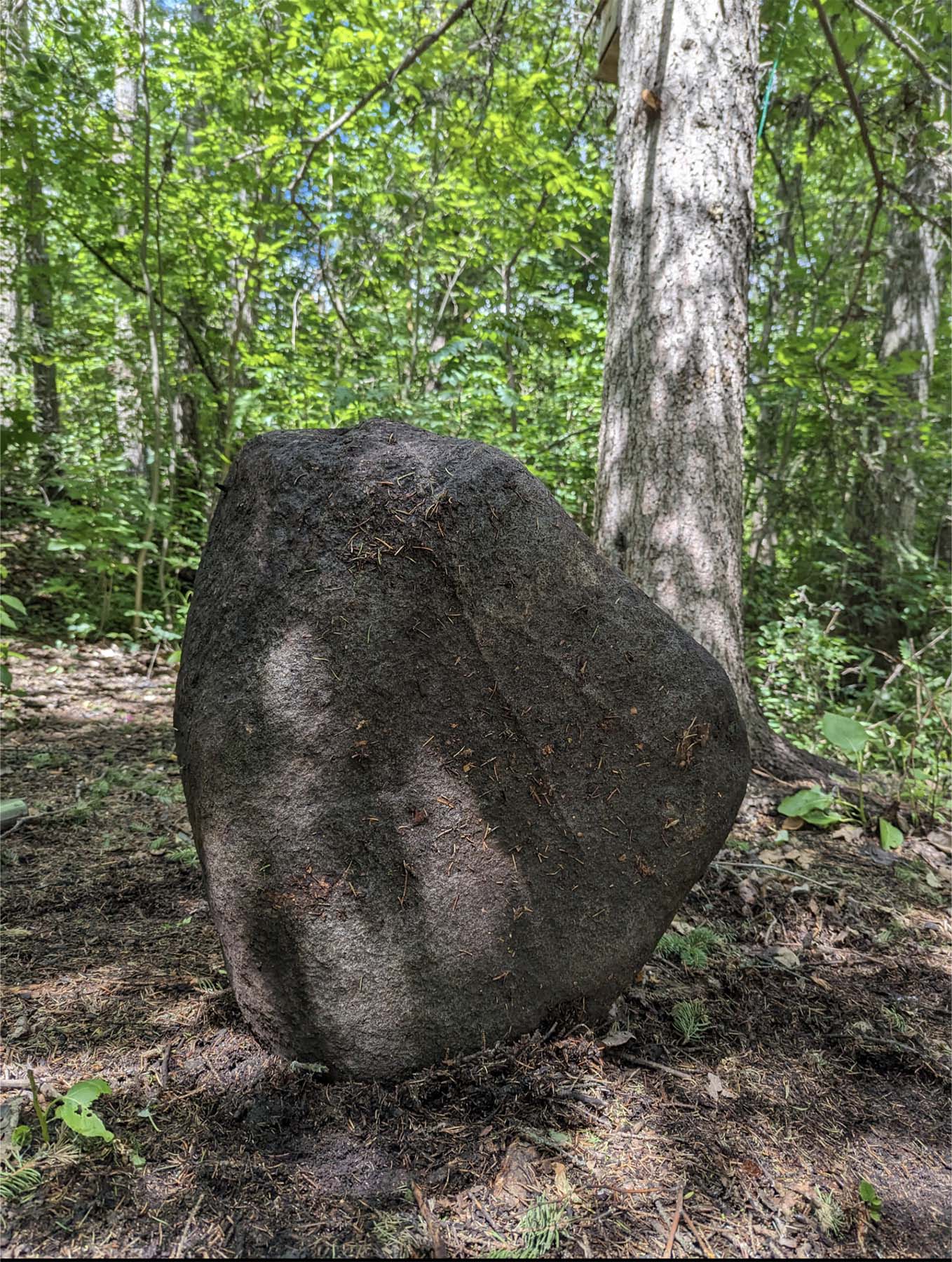 The Coal Miners Carry