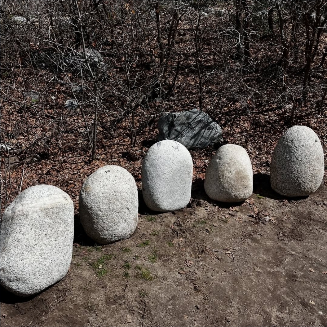 Training stones